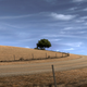 Image for article titled Gran Turismo 5's Most Beautiful Screenshots Yet